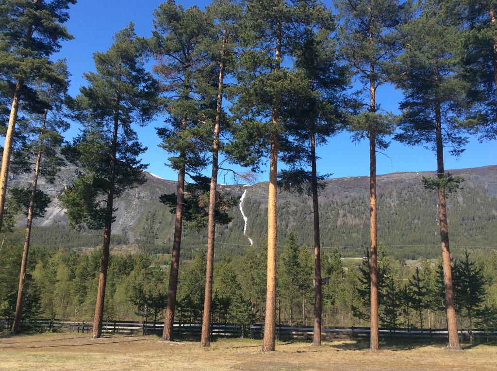 Furuly Camping Nordberg Eksteriør billede