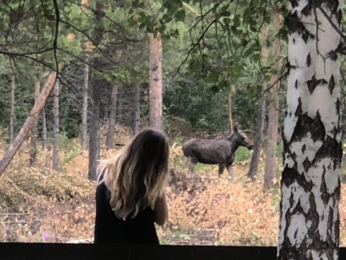 Furuly Camping Nordberg Eksteriør billede