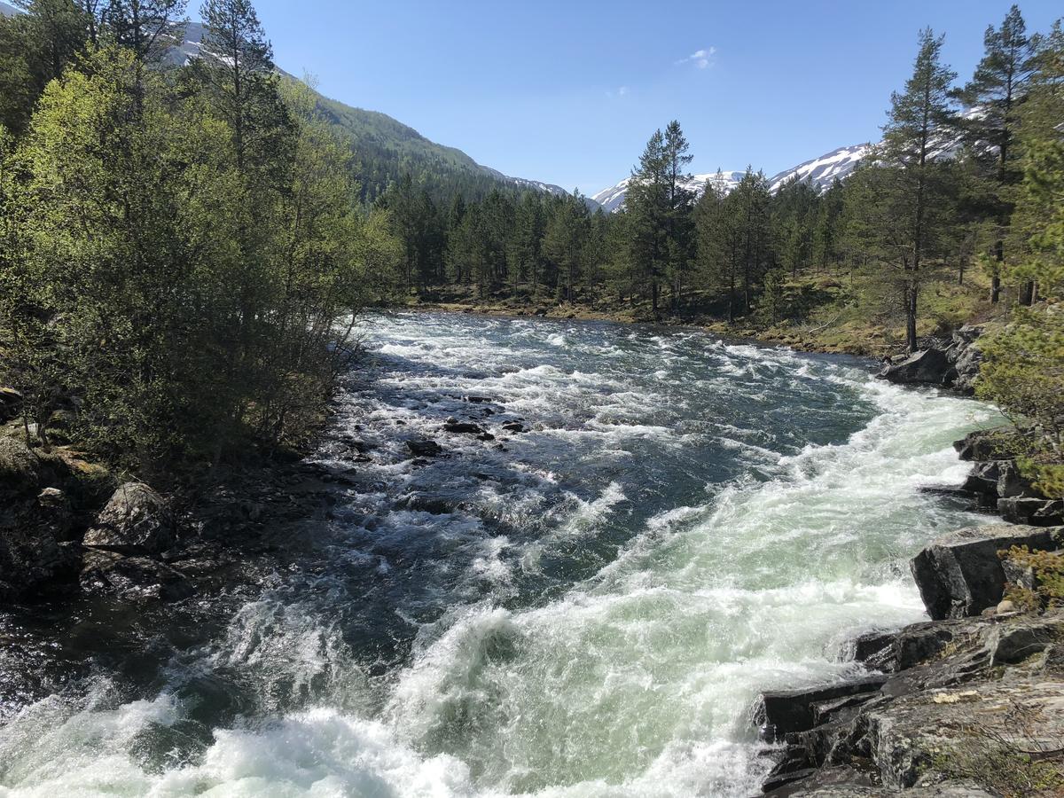 Furuly Camping Nordberg Eksteriør billede